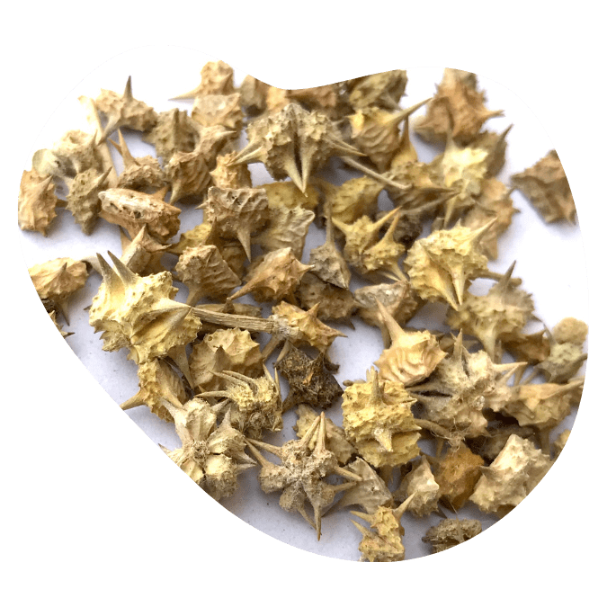 univala testosterone booster ingredients19