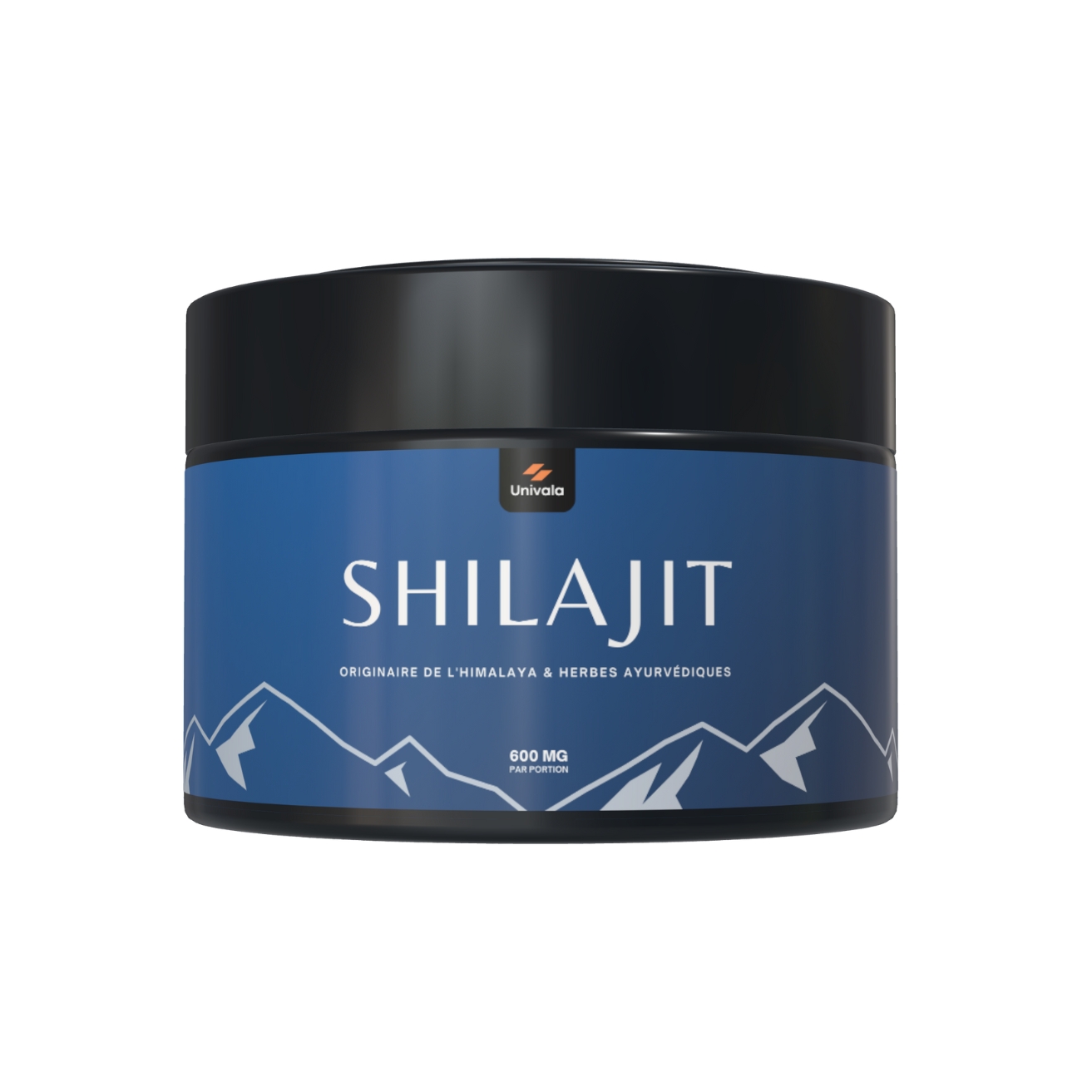 Résine de Shilajit Himalayen / 1 Résine de Shilajit Himalayen /