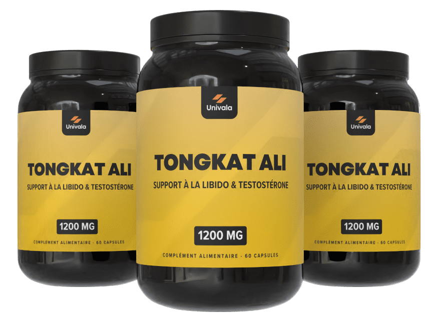 Render Mockup 1600 1200 2024 05 10 2 1