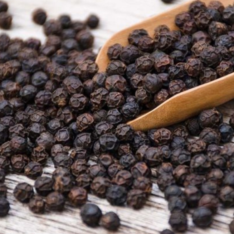 Product images Moringa 2 2