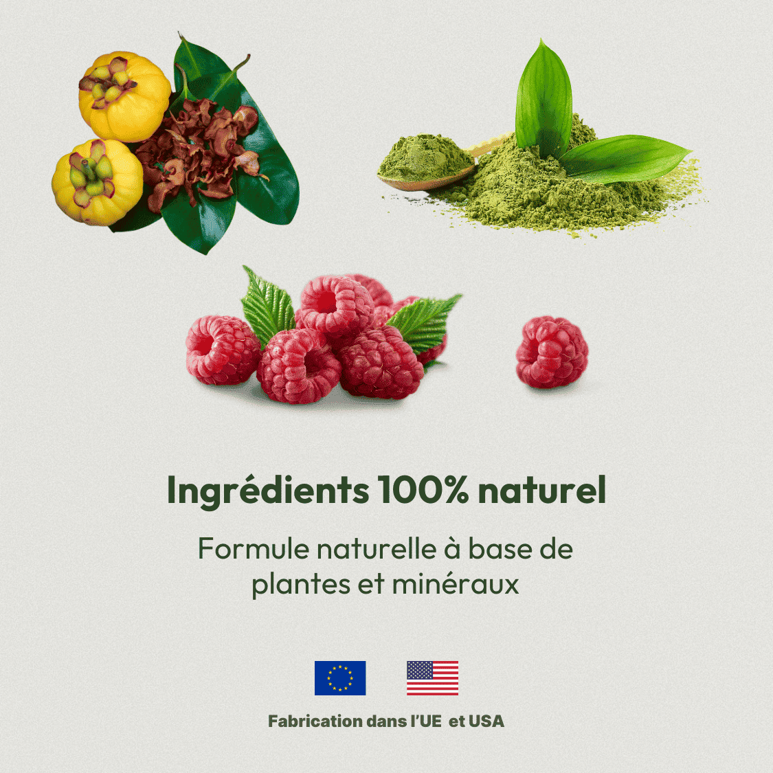 Brûleur de Graisses Naturel | VitalBurn 3 Brûleur de Graisses Naturel | VitalBurn – Image 3